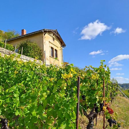 Ferienhaus Und Strausswirtschaft Im Weinberg Freyburg Esterno foto